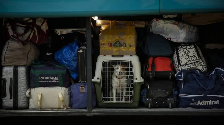 Καβάλα: Πρόστιμο σε ιδιοκτήτη σκύλου επειδή τον παράτησε κλεισμένο στο αυτοκίνητο