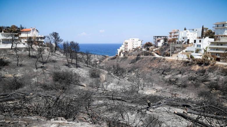 ΟΤΕ για τις φωτιές στην Αττική: Τουλάχιστον ένας μήνας για την αποκατάσταση των ζημιών