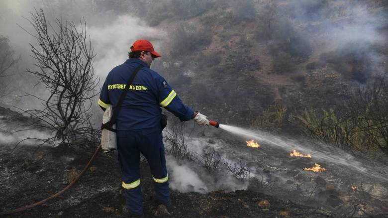 Σύλληψη 32χρονου που φέρεται να έβαλε εννέα πυρκαγιές στην Εύβοια