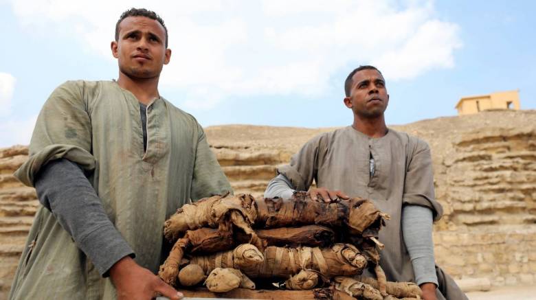 Σημαντικά ευρήματα στην Αίγυπτο: Δεκάδες γάτες - μούμιες βρέθηκαν σε αρχαίους τάφους