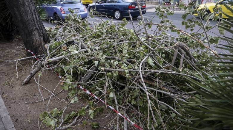 Κακοκαιρία «Ραφαήλ»: Πάνω από 100 κλήσεις στην Πυροσβεστική για κοπή δέντρων