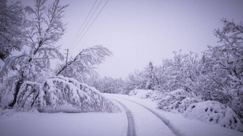 Φθιώτιδα: Απεγκλωβίστηκαν τα 50 άτομα από το ξενοδοχείο στο Γαρδίκι