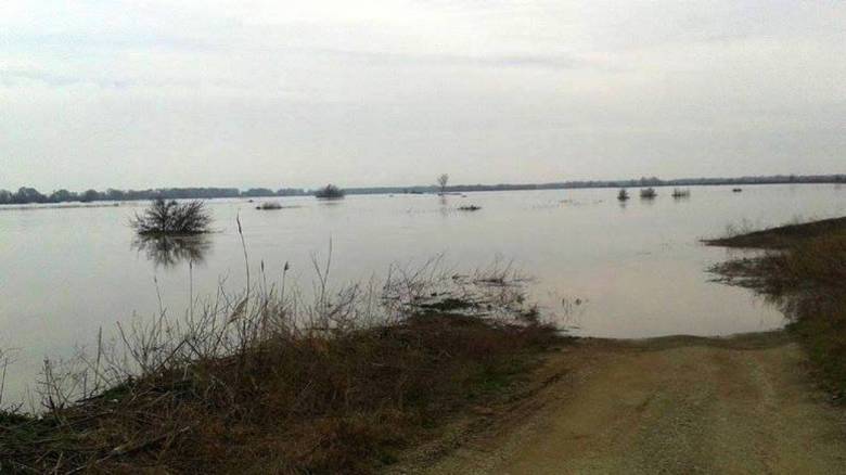 Συναγερμός στον Έβρο: Σε εξέλιξη επιχείρηση διάσωσης – Φόβοι για νεκρούς