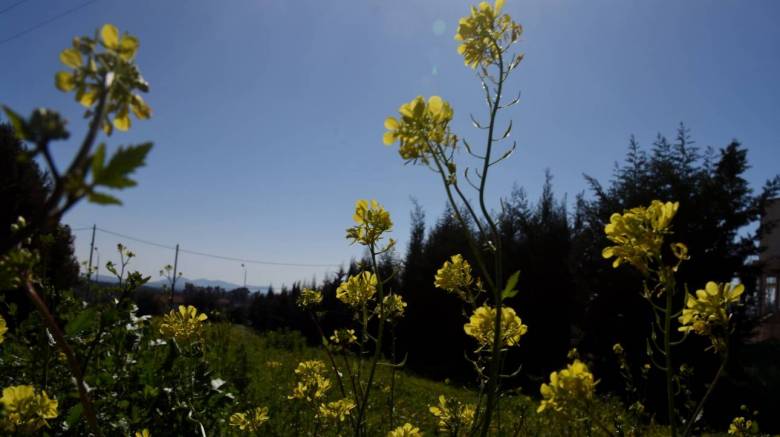 Καιρός: Ανοιξιάτικος τις επόμενες ημέρες με άνοδο της θερμοκρασίας