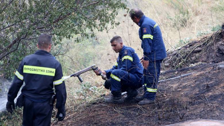 Μεγάλη φωτιά στη Φθιώτιδα