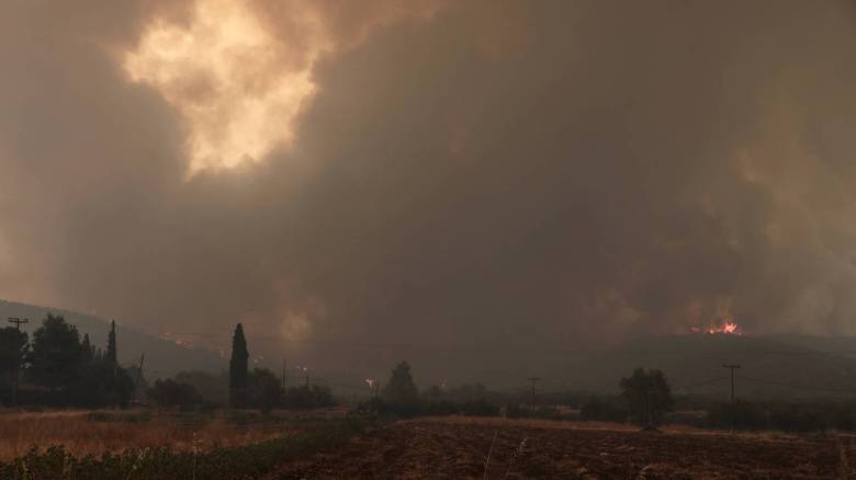 Φωτιά στην Εύβοια: Προσαγωγή υπόπτου για την πυρκαγιά στην Ιστιαία