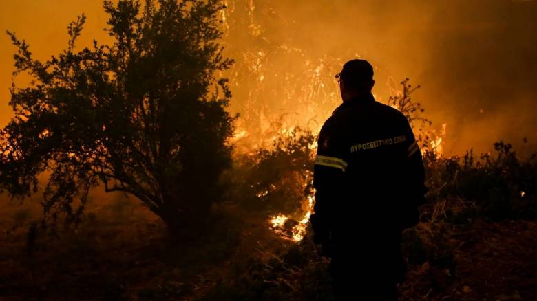 Κρήτη: Φωτιά στο Ρέθυμνο - Σε ύφεση στο μέτωπο στην Ιεράπτερα