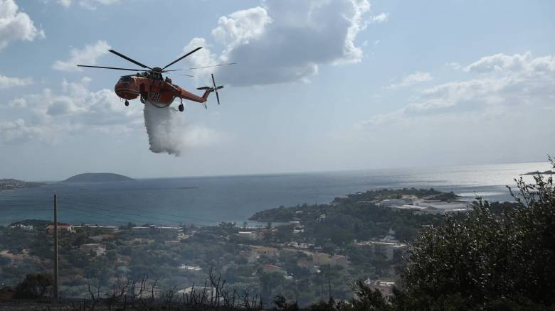 Φωτιά στο Λαγονήσι: Σε ύφεση το μέτωπο – Αποκαταστάθηκε η κυκλοφορία (pics&vids)