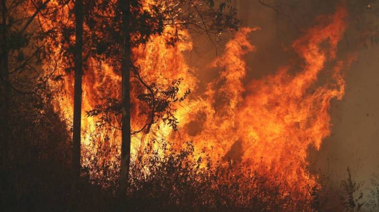 Αυστραλία: Ένα ηλικιωμένο ζευγάρι τα πρώτα θύματα των δασικών πυρκαγιών
