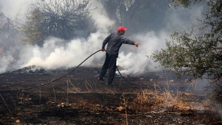 Φωτιά στα Τεμένια Χανίων