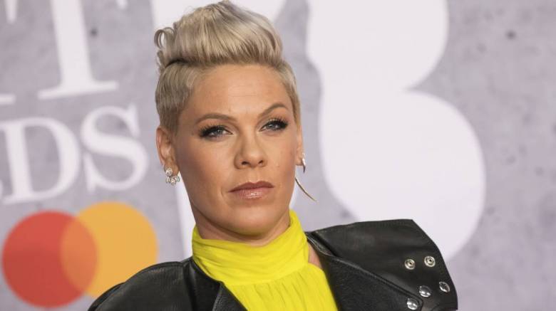 Ανάρρωσε από τον κορωνοϊό η τραγουδίστρια Pink