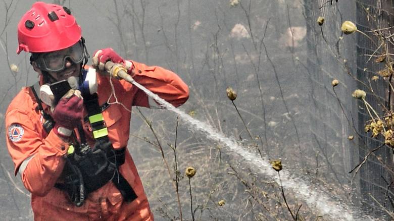 Φωτιά στη Μάνη: Εκκενώνεται προληπτικά οικισμός - Συναγερμός στην Πυροσβεστική