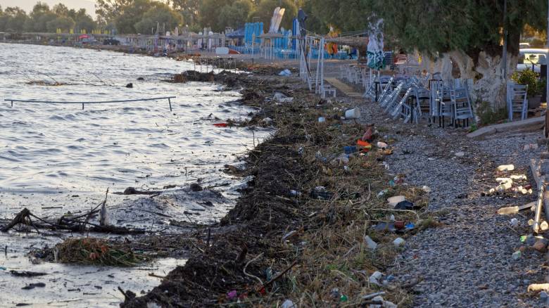Σορός άνδρα ξεβράστηκε στον Ωρωπό