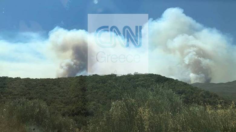 Φωτιά στη Μάνη: Ορατοί από το διάστημα οι καπνοί 