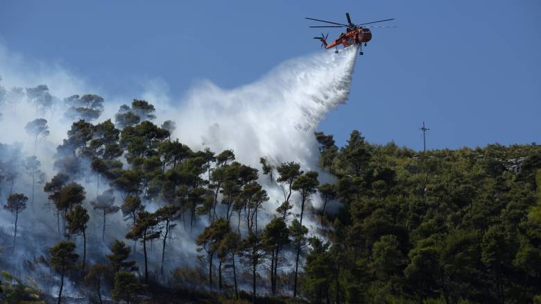 Συναγερμός στην Πυροσβεστική: Διπλό πύρινο μέτωπο σε Νέα Μάκρη και Καλύβια