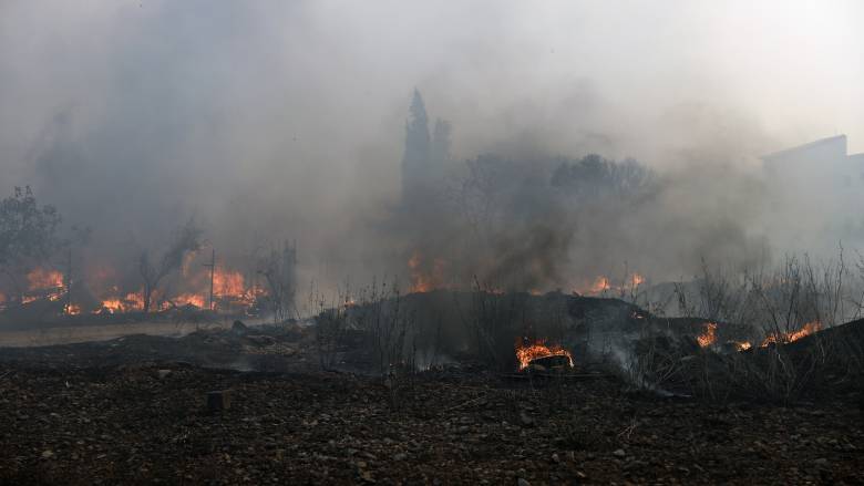 Συναγερμός στην Πυροσβεστική: Φωτιές σε Ηλεία, Μεσσηνία και Άνδρο