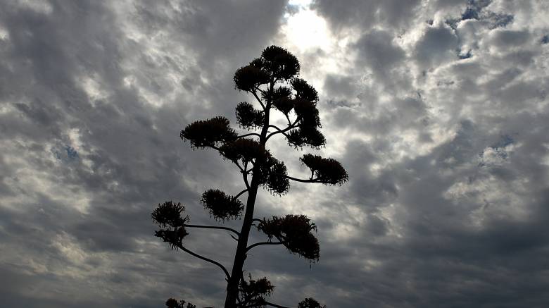Καιρός: Με νεφώσεις και ισχυρούς ανέμους η Πέμπτη – Πού αναμένονται βροχές
