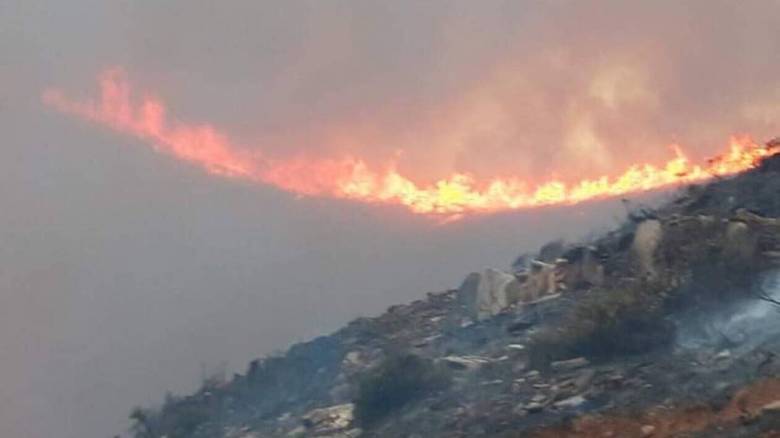 Φωτιά Άνδρος: Ενισχύονται οι πυροσβεστικές δυνάμεις - Κλιμάκιο της ΔΑΕΕ με εντολή Χαρδαλιά στο νησί
