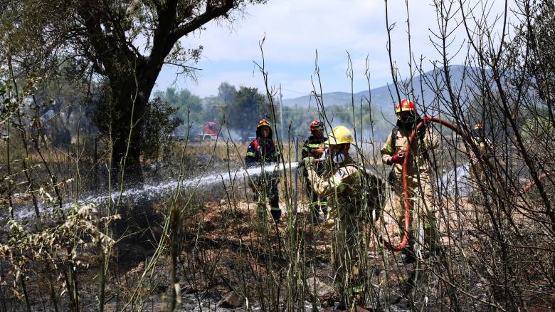 Υπό έλεγχο η φωτιά στον Τρίλοφο Θεσσαλονίκης