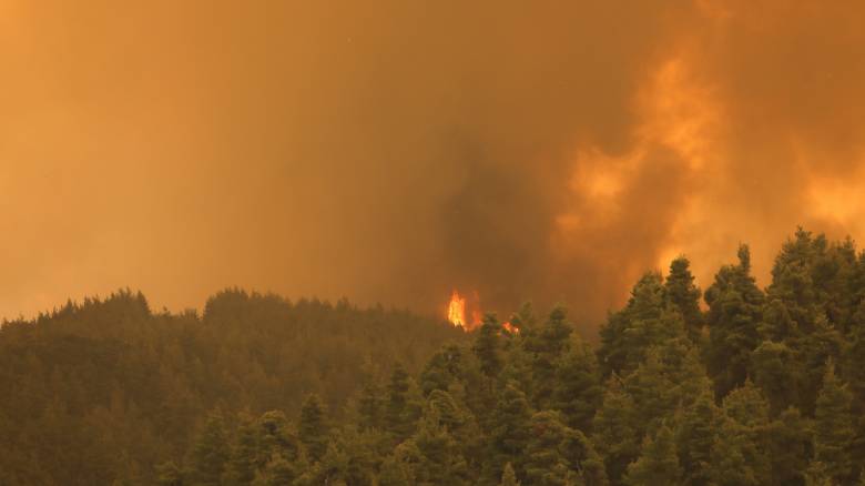 Φωτιές Κρήτη: Μαίνεται η πυρκαγιά στον Άγιο Θωμά Ηρακλείου - Νέο μέτωπο στον δήμο Κισσάμου