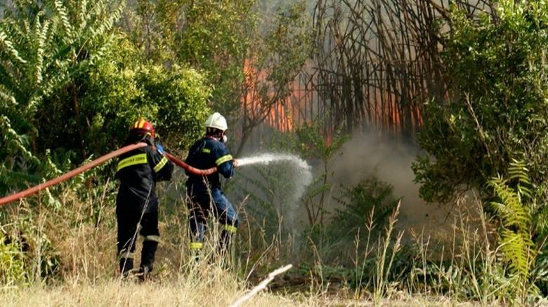 Φωτιά Ανατολική Μάνη: Σε τρία σημεία υπάρχουν ακόμα εστίες