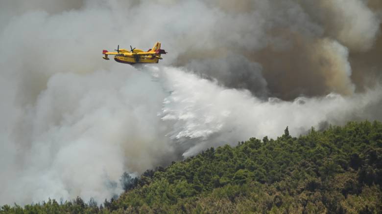 Φωτιές στην Ελλάδα: Πάνω από 1 εκατ. στρέμματα έγιναν στάχτη μέσα σε δύο εβδομάδες