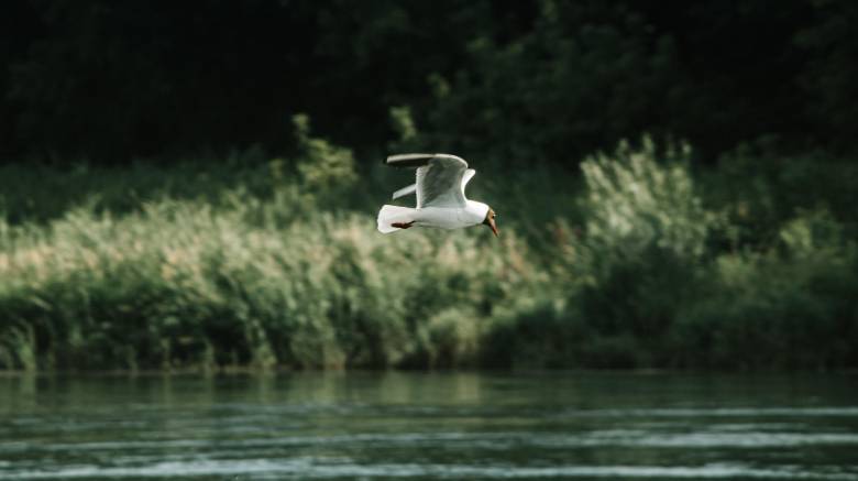 Τουρισμός στη φύση: Ανακαλύπτουμε τις καλύτερες ευρωπαϊκές χώρες για φυσιολάτρες