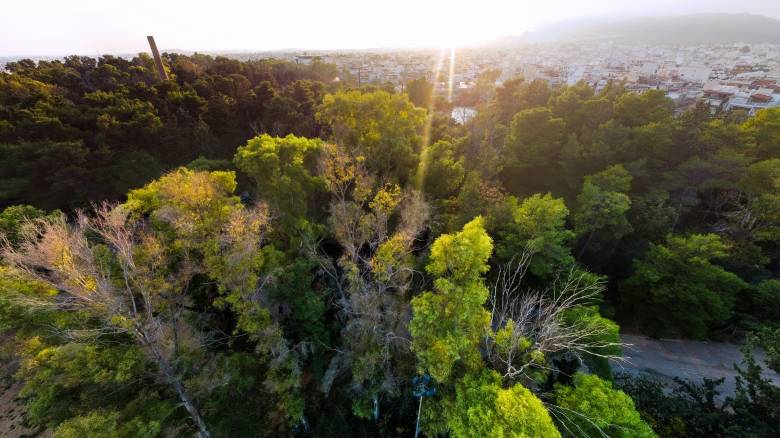 Καιρός: Πρόσκαιρη βελτίωση την Παρασκευή - Ενισχυμένοι βοριάδες στο Αιγαίο