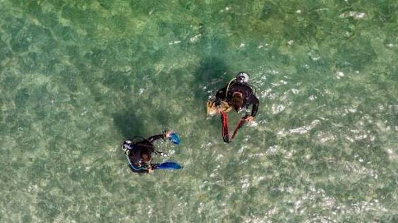 Plastic Free Greece: Καμπάνια - παγκόσμιο μήνυμα βιώσιμης ανάπτυξης από τη Lidl Ελλάς