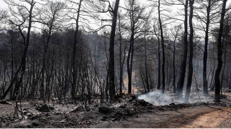 Φωτιά στο Ρέθυμνο: Ενεργοποιήθηκε η υπηρεσία Copernicus για χαρτογράφηση της περιοχής Μέλαμπες