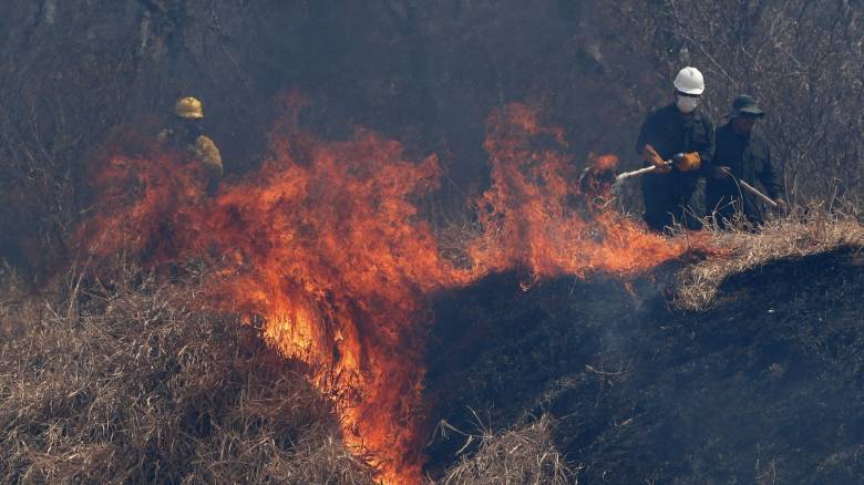 Βολιβία: Τεράστιες πυρκαγιές απειλούν εθνικούς δρυμούς