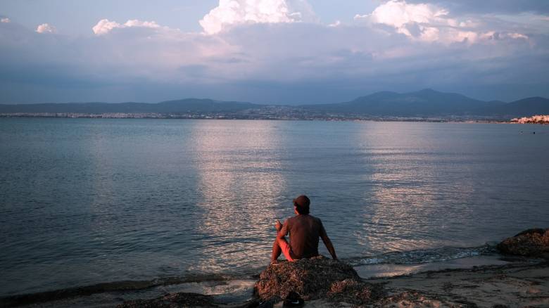 Τοξικό φυτοπλαγκτόν στα μύδια του Θερμαϊκού - Ποιες οι επιπτώσεις στον άνθρωπο