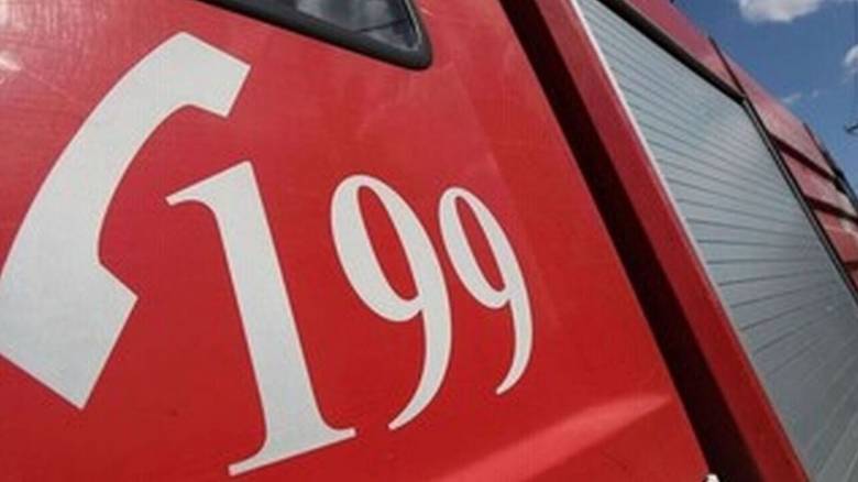 Πυρκαγιά σε δασική έκταση στη Ρόδο