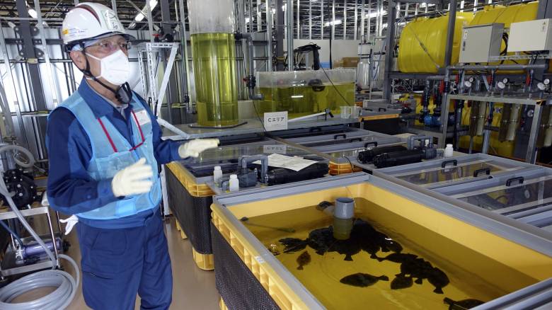 Η Κίνα απαγορεύει τις εισαγωγές θαλασσινών από την Ιαπωνία, λόγω Φουκουσίμα  