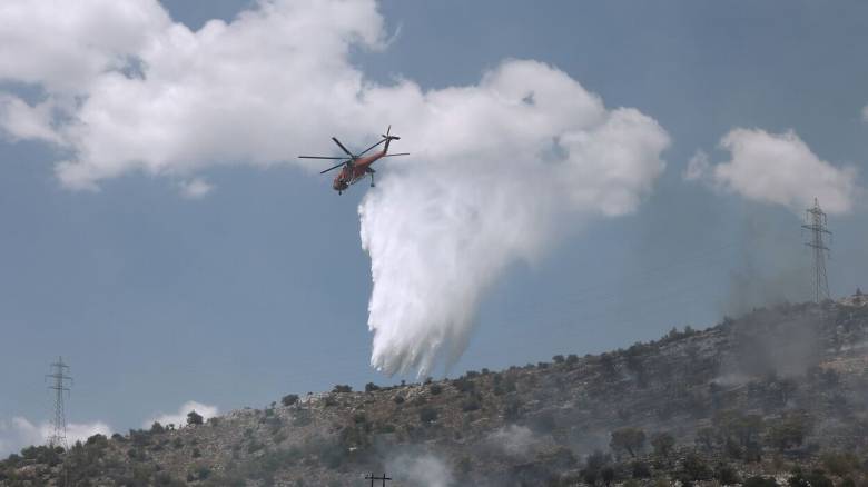 Φωτιά σε δασική έκταση στη Μεσσηνία - Επιχειρούν εναέριες και επίγειες δυνάμεις