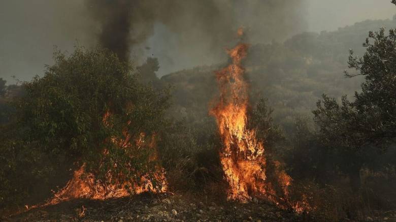 Φωτιά στα Δερβενοχώρια: Εντολή εκκένωσης για το χωριό Λεύκα