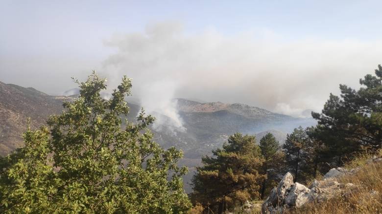 Φωτιά στην Κέρκυρα: Εκκενώνεται ο οικισμός Ημερολιά – Μήνυμα του 112