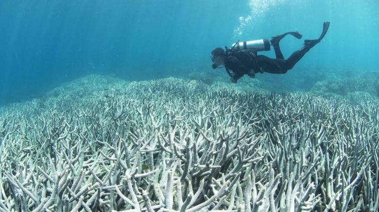 Έσπασε το ρεκόρ θερμοκρασίας των ωκεανών – Πώς θα επηρεαστεί ο πλανήτης