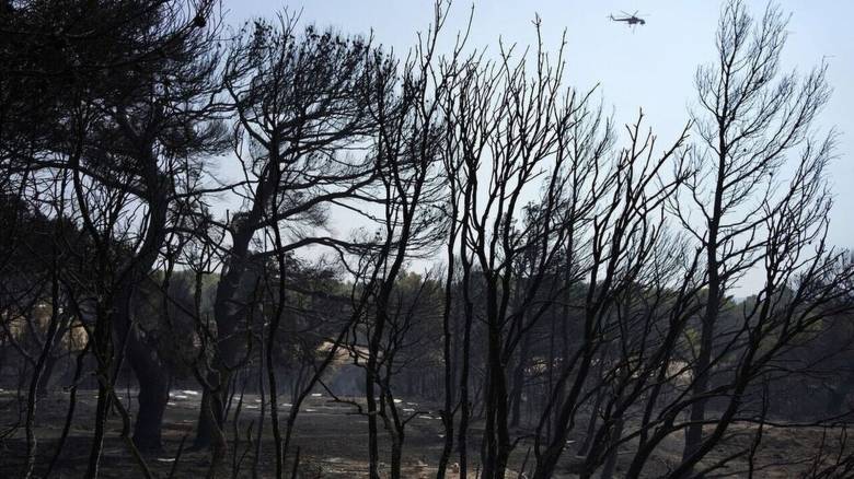 Copernicus: Τα καμένα στην ΕΕ είναι 44% πάνω από τον μέσο όρο της προηγούμενης 15ετίας