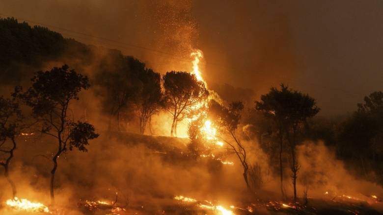 Φωτιά στον Έβρο: Στις φλόγες ο μικρός πυρήνας του δάσους της Δαδιάς - Σε απόσταση από οικισμούς