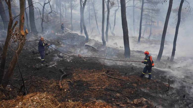 Φωτιά στη Σταμάτα: Καρέ - καρέ οι προσπάθειες για την κατάσβεσή της