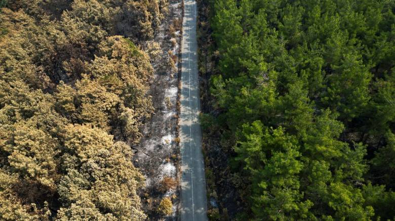 WWF: Κάηκαν πάνω από 1,6 στρέμματα δάσους - «SOS» για 23 Προστατευόμενες Περιοχές