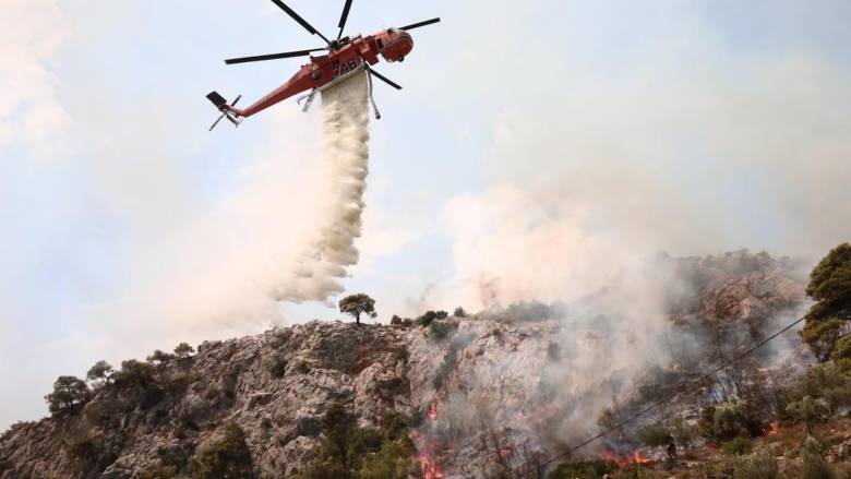 Φωτιά στο Πήλιο - Καίγεται δασική έκταση στο Βρωμονέρι