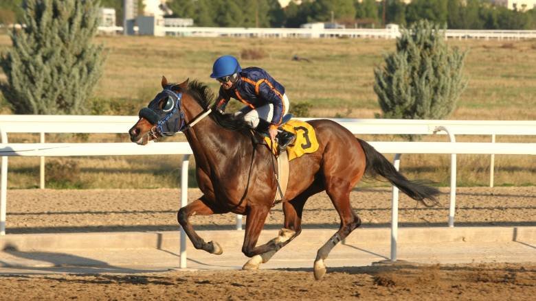 Markopoulo Park: Ένας νικητής στο ΣΚΟΡ 6 κέρδισε 14.320 ευρώ