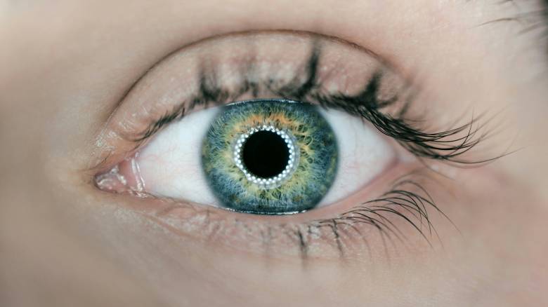 Εκφύλιση ωχράς κηλίδας: Πρώτη αιτία μείωσης της όρασης στους άνω των 65