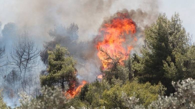 Περισσότερες από 20 συλλήψεις για εμπρησμούς από την αρχή του έτους