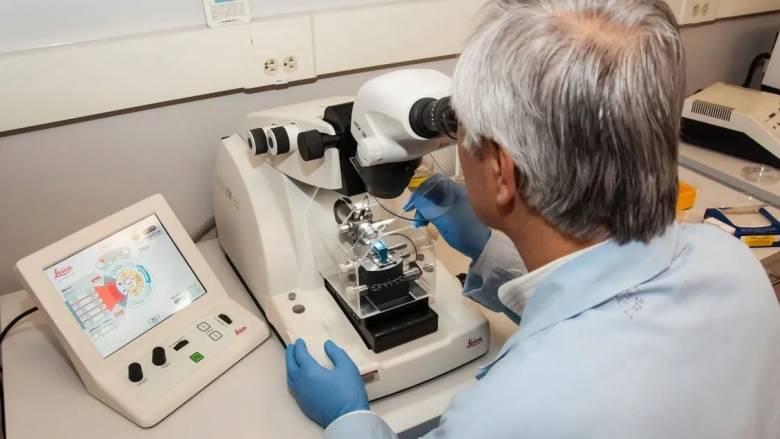 Μελέτη: Διπλάσια τα κρούσματα καρκίνου προστάτη το 2040 – Θα ξεπεράσουν τα 2,9 εκ. περιστατικά