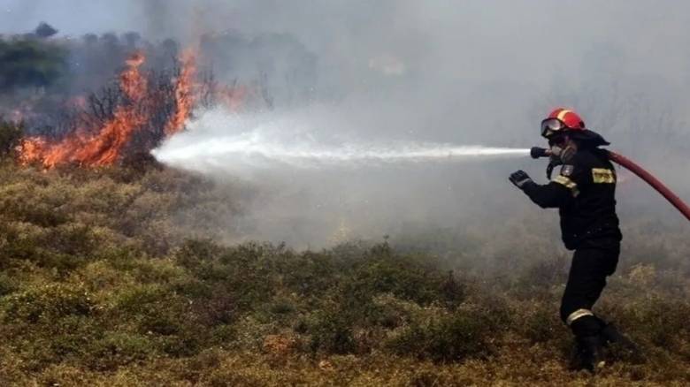 Πάτρα: Φωτιά σε δασική έκταση στον Κάλφα - Πνέουν ισχυροί άνεμοι