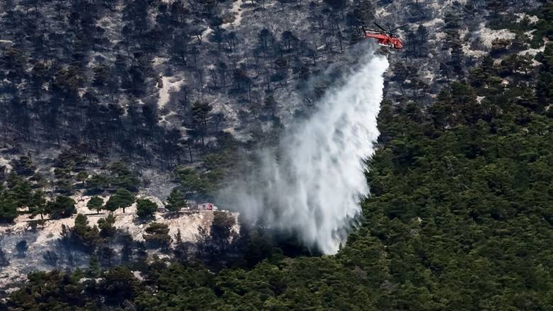 Θεσσαλονίκη: Ελεύθερος με περιοριστικούς όρους 32χρονος που κατηγορείται για εμπρησμούς