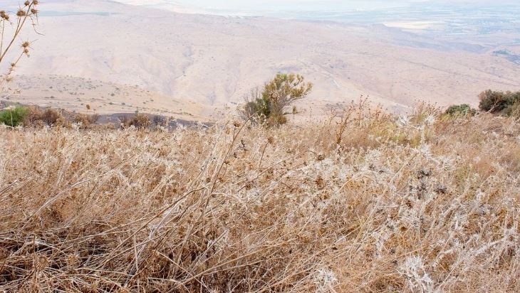 Αναρτήθηκαν οι πίνακες δικαιούχων της Εξισωτικής Αποζημίωσης 2025 - Έως 24 Δεκεμβρίου οι ενστάσεις